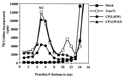 FIG. 6