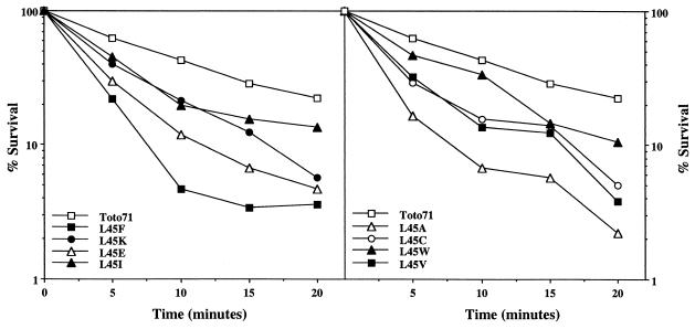 FIG. 7