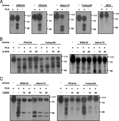 FIG. 6.