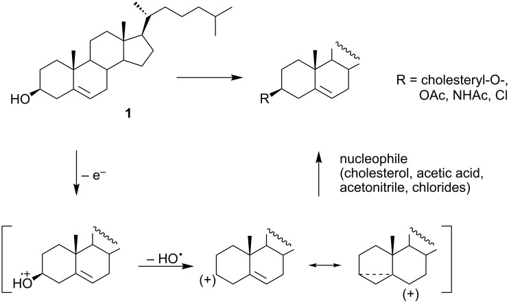 Scheme 9