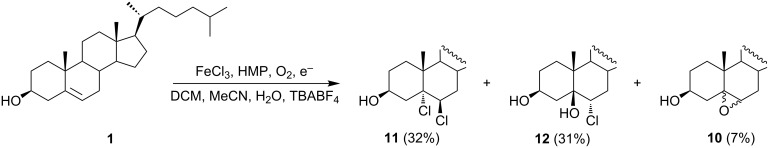 Scheme 4