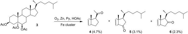 Scheme 2