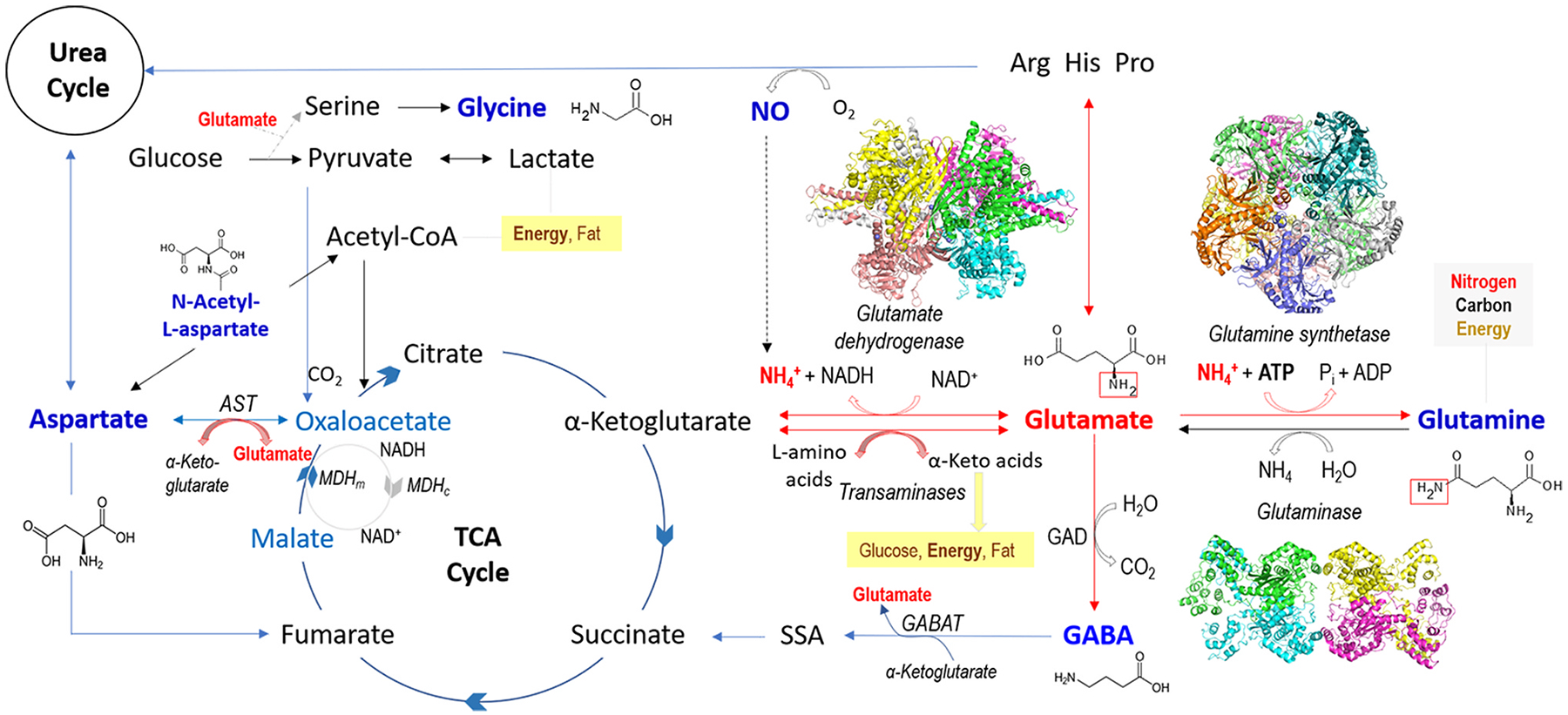 Fig. 2.