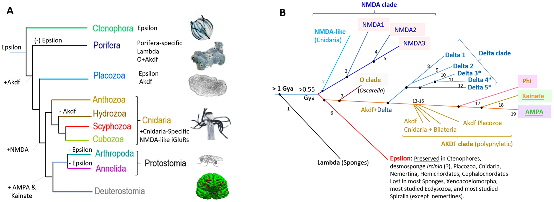 Fig. 12.