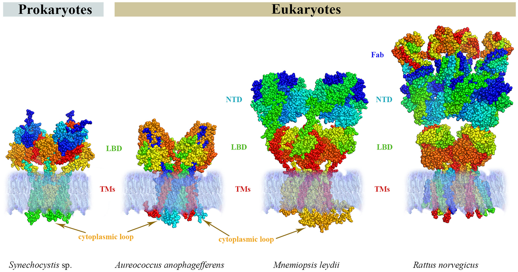 Fig. 7.