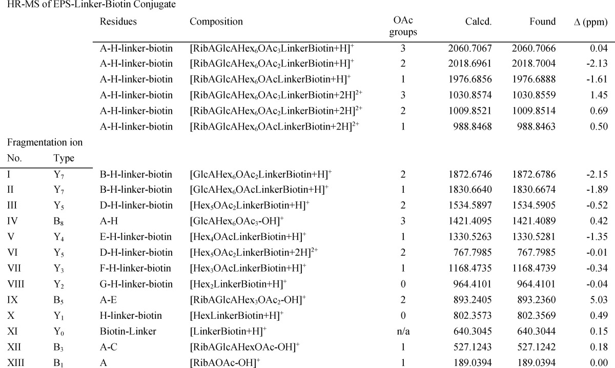 graphic file with name zbc042165279t005.jpg