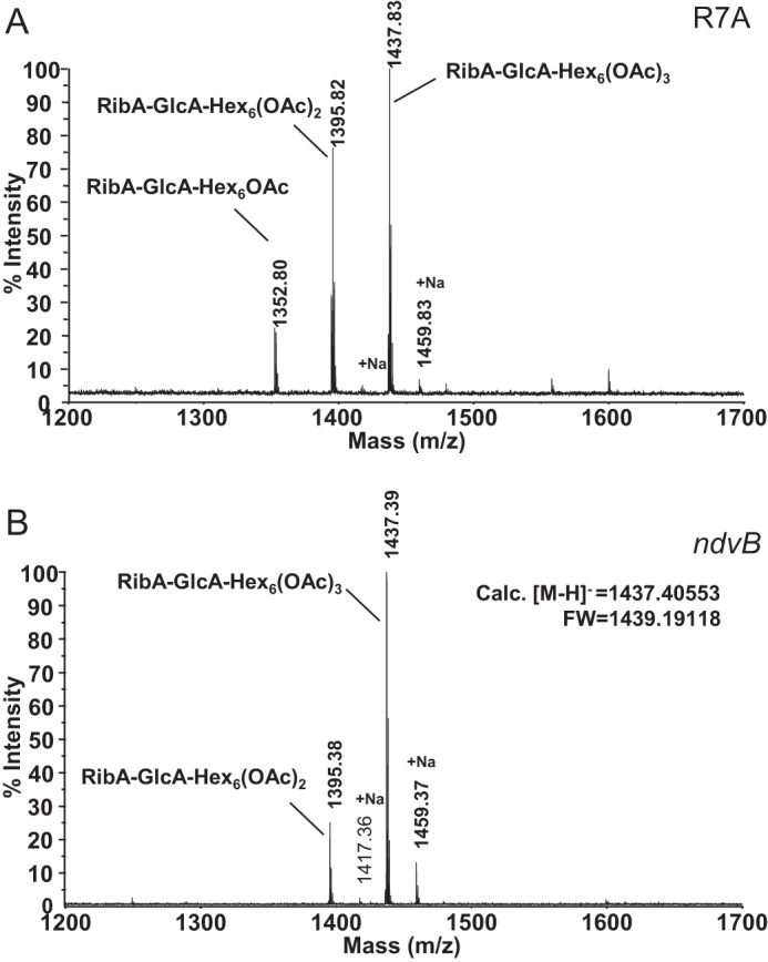 FIGURE 6.