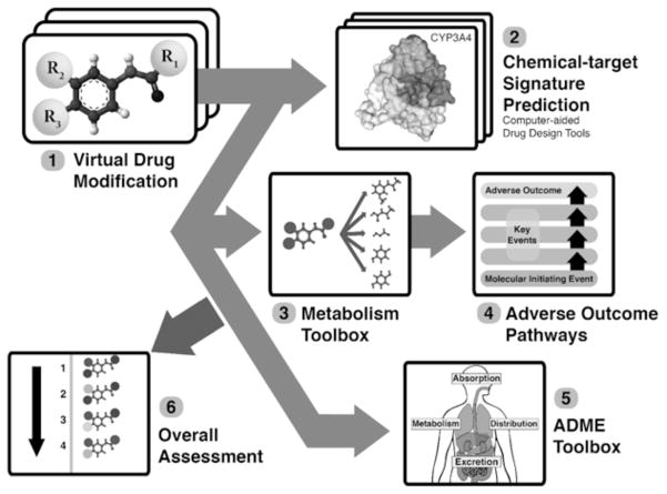 Drug Metabolism in Preclinical Drug Development: A Survey of the ...