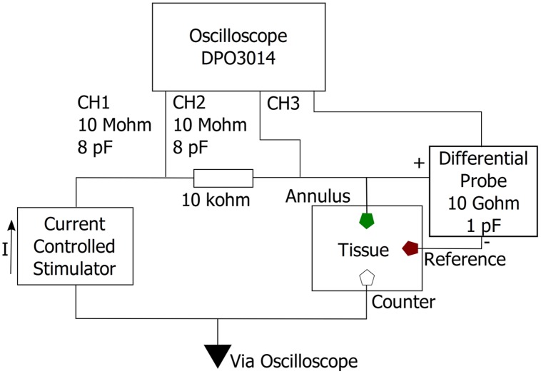 FIGURE 3