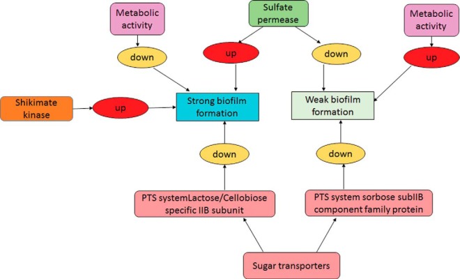 Fig. 6.