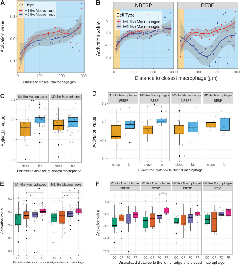 Figure 5. Tcy activation levels based on distance to closest macrophage. A, Scatter plot showing average activation value of Tcy based on distance to closest macrophage. The yellow-shaded area represents the “close” region, the light-blue-shaded area represents the “far” region. B, Scatter plot showing average activation value of Tcy based on distance to closest macrophage stratified by patient response. C, Boxplots showing the activation level of Tcy based on discretized distance to closest macrophage using pairwise t test (FDR corrected). D, Boxplots showing the activation level of Tcy based on discretized distance to closest macrophage stratified by patient response using pairwise t test (FDR corrected). E, Boxplots showing the activation level of Tcy based on discretized distance to closest macrophage and distance to the edge using pairwise t test (FDR corrected) (CC: Close-Close, CF: Close-Far, FC: Far-Close, FF: Far-Far). F, Boxplots showing the activation level of Tcy based on discretized distance to closest macrophage and distance to the edge stratified by patient response using pairwise t test (FDR corrected). *, P < 0.05; **, P < 0.01; ***, P < 0.001. P values > 0.05 are not reported.