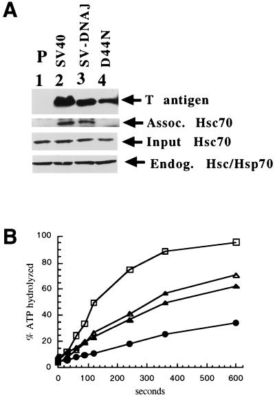 FIG. 7