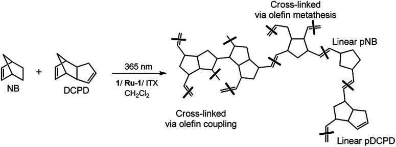 Scheme 4