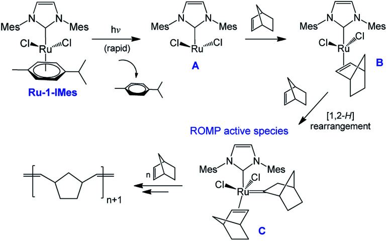 Scheme 3