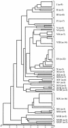 FIG. 2.