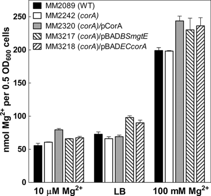 FIG. 1.