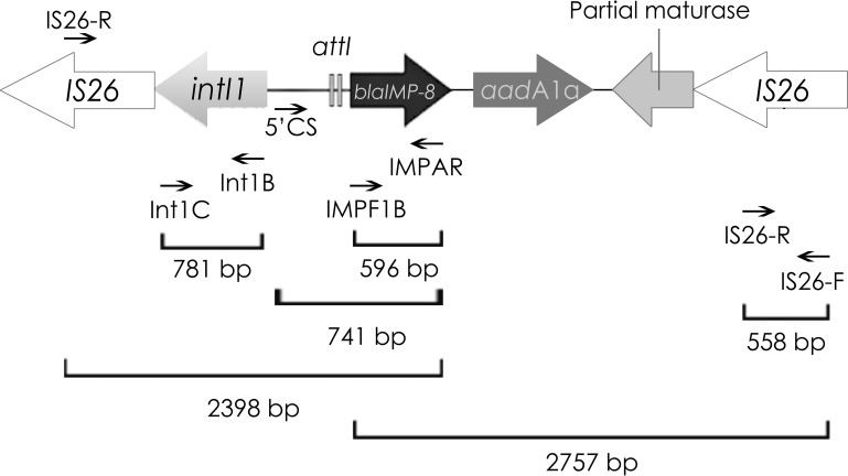 FIG 1