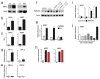 Extended Data Figure 2