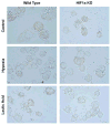 Extended Data Figure 5