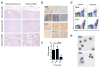 Extended Data Figure 1