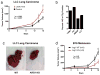 Extended Data Figure 9