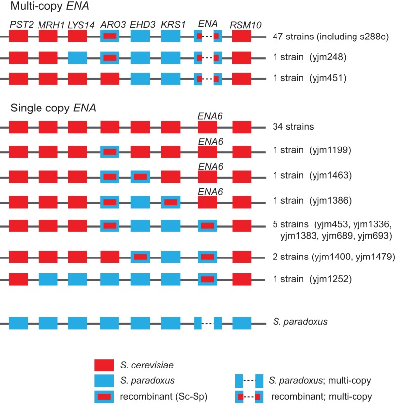 Figure 2.