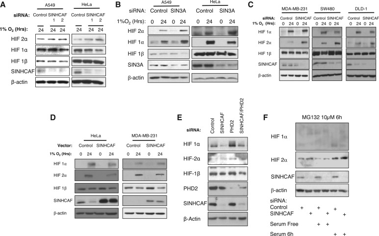 Figure 2.