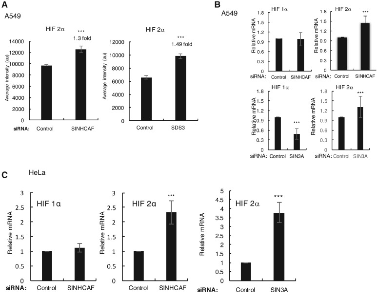 Figure 1.