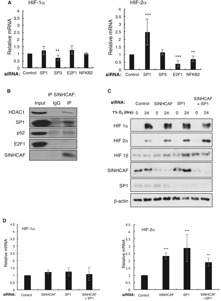 Figure 4.