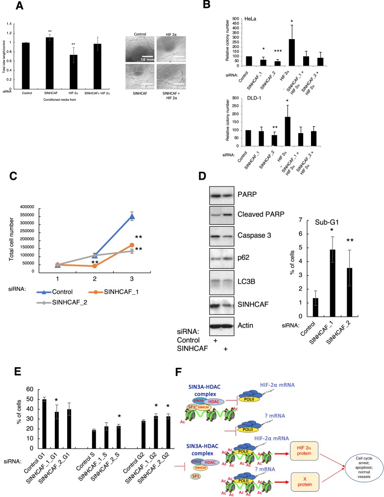 Figure 6.