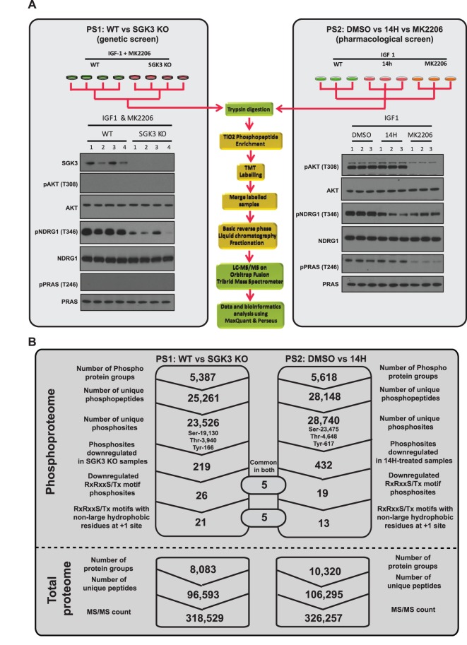 Figure 1.