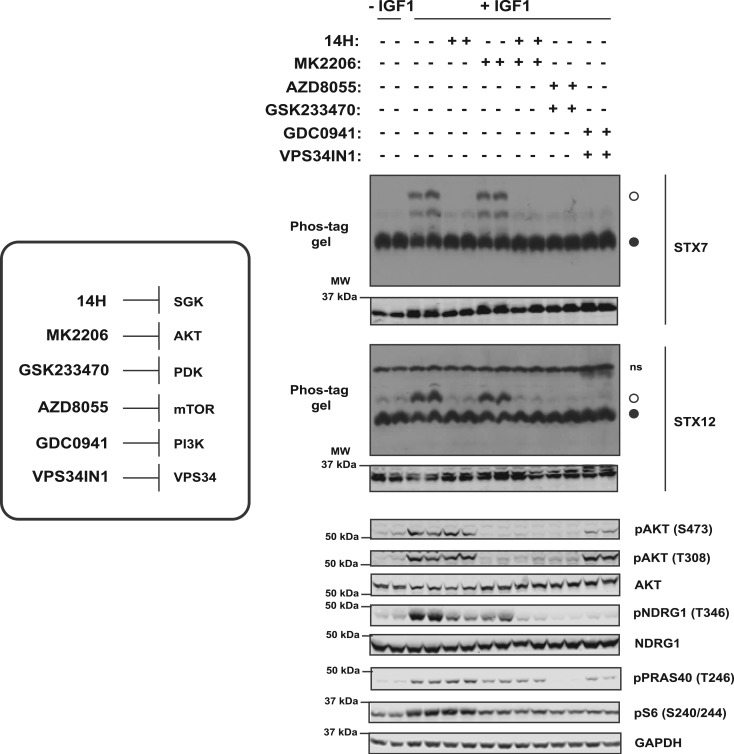 Figure 6.