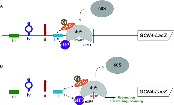 Figure 7.