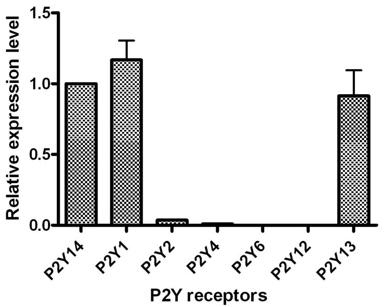 Figure 7