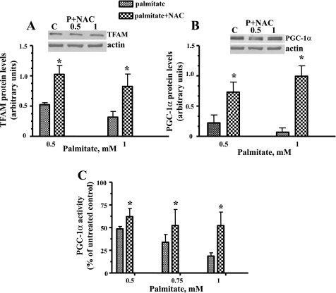 Fig. 9.