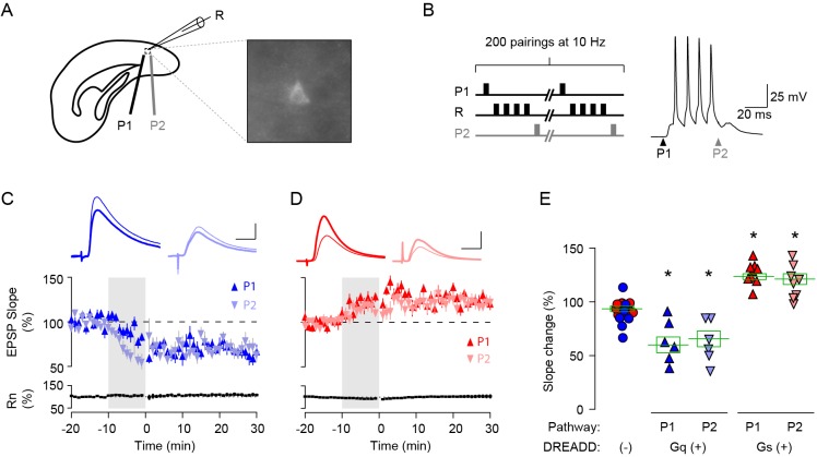 Figure 2—figure supplement 1.