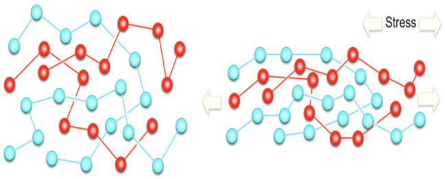 graphic file with name polymers-13-02467-i002.jpg