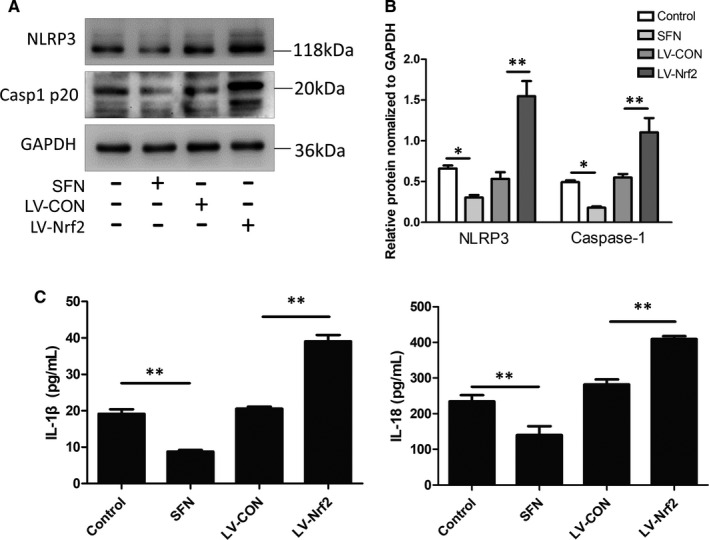 FIGURE 6