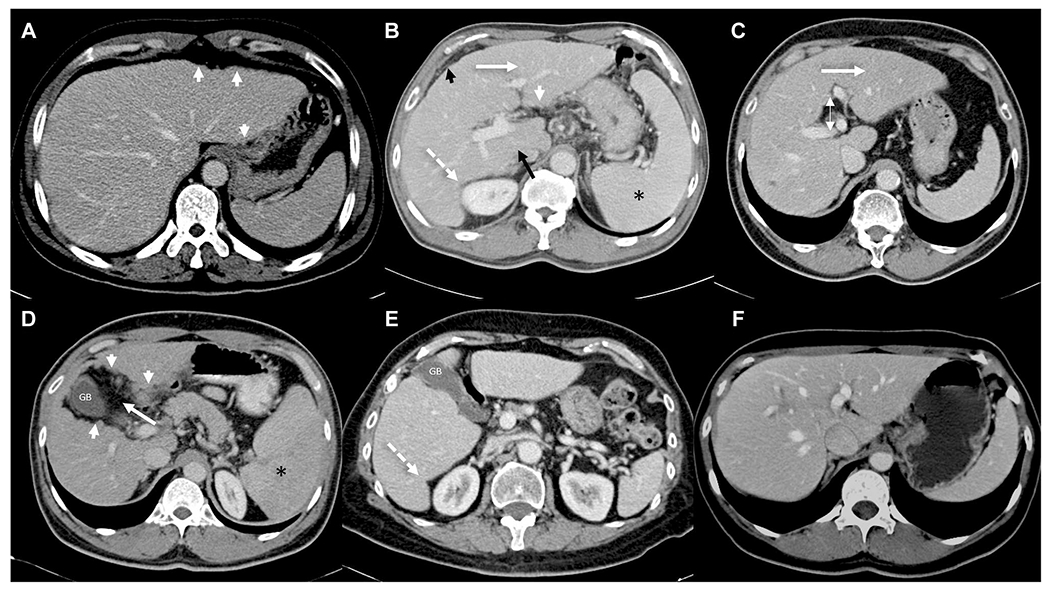 Fig. 5