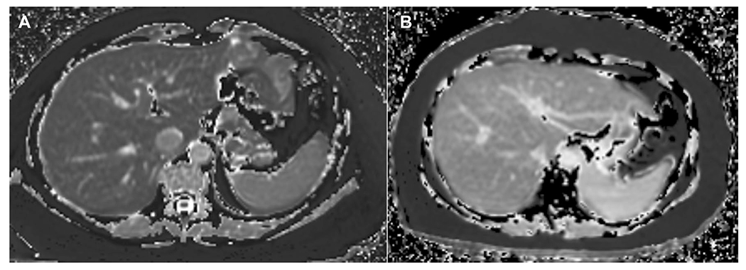 Fig. 8