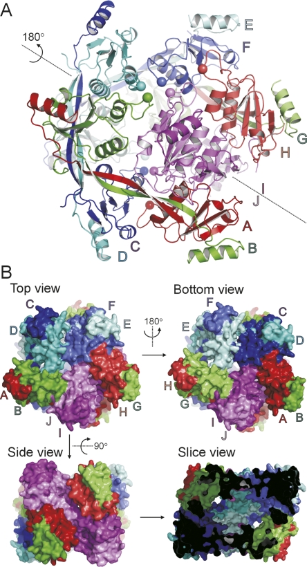 Figure 2.