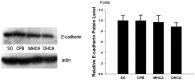 Fig 7