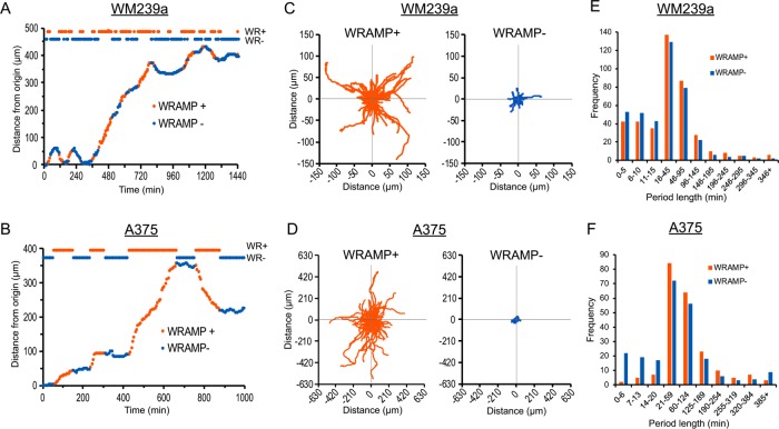 FIGURE 6: