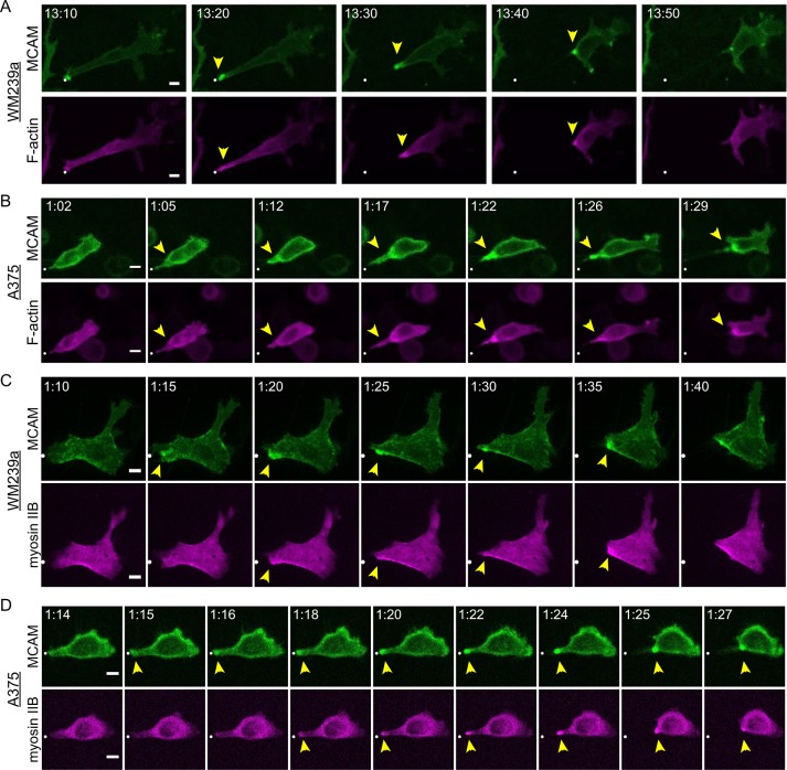 FIGURE 2: