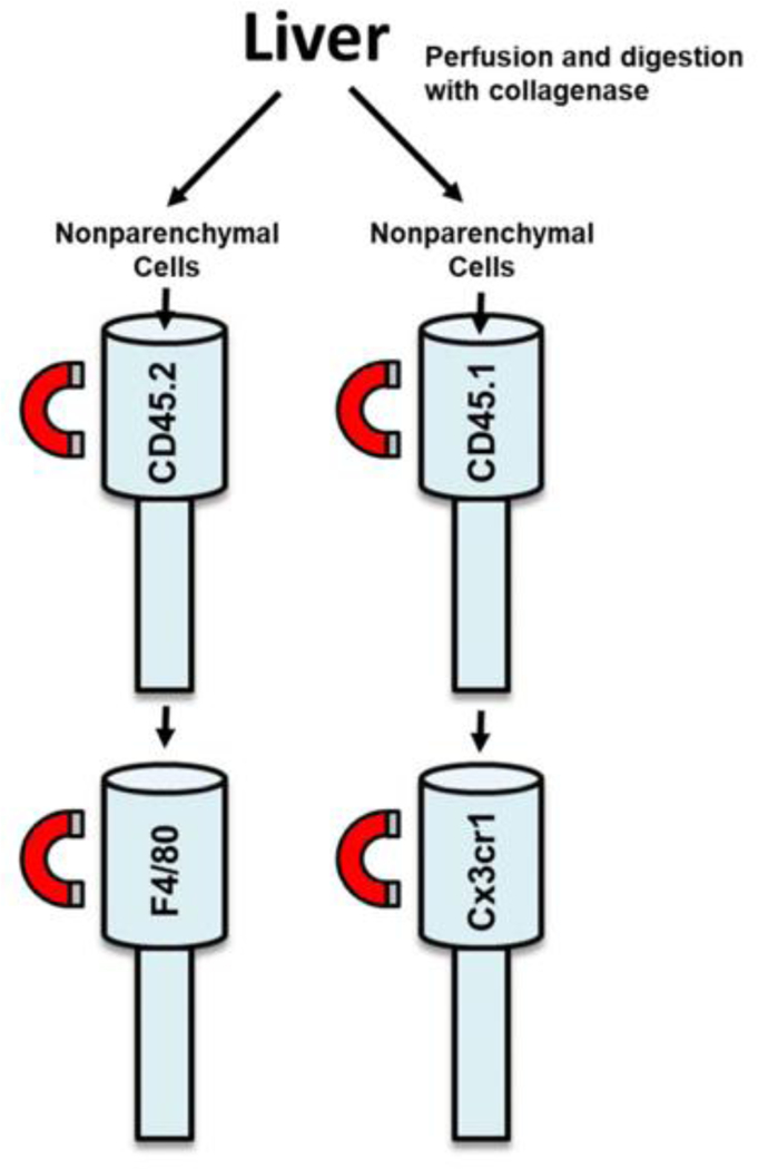 Figure 7: