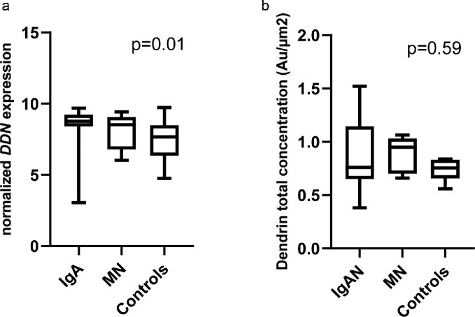 FIGURE 2: