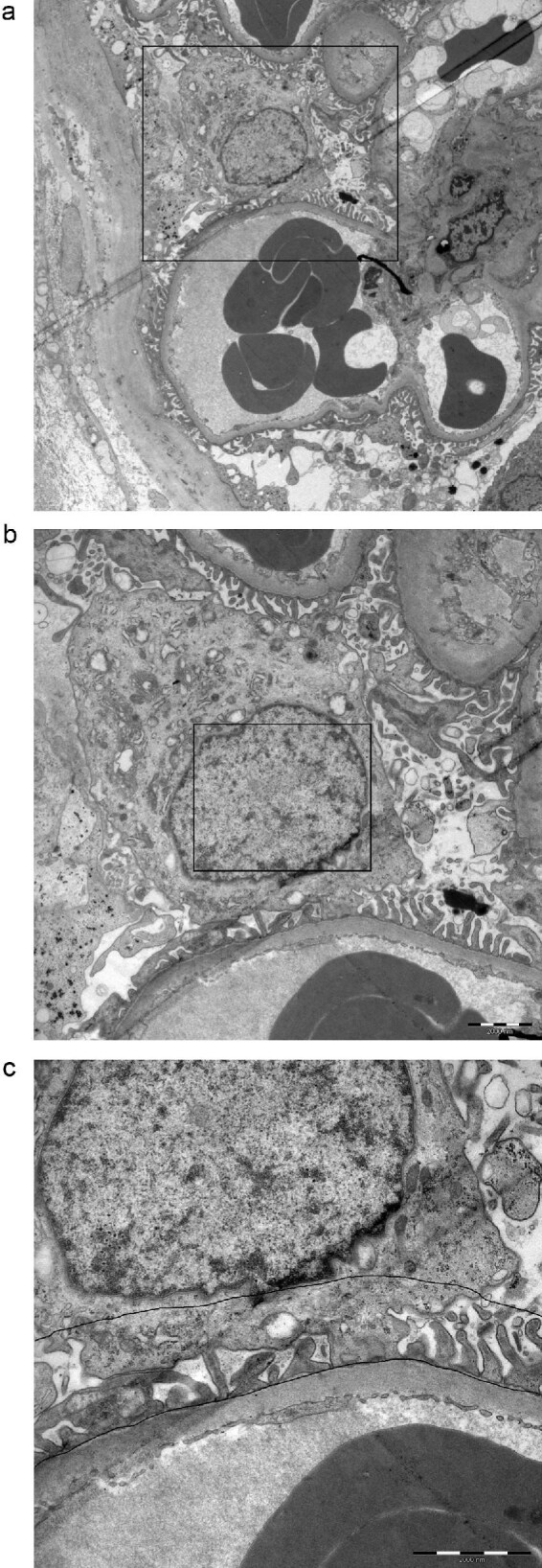 FIGURE 1: