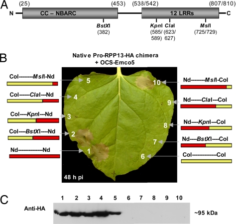 Fig. 4.