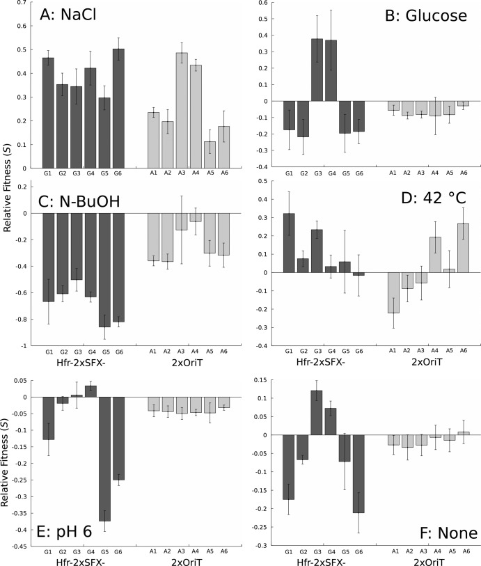 FIG 2