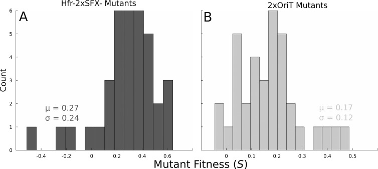 FIG 6